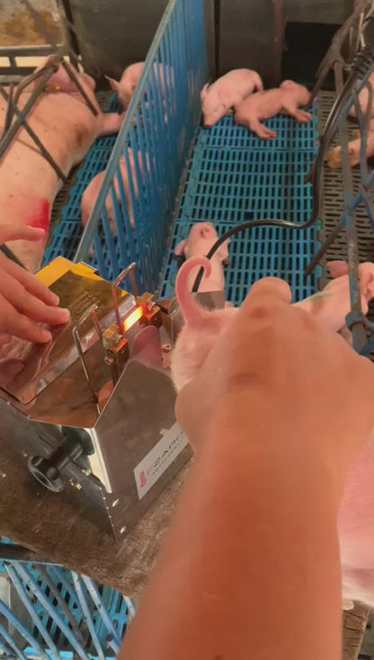 CAUTERIZADOR ELÉTRICO DE CAUDA TURBO 1500RB